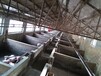 西咸新区养殖圈舍消毒设备,喷雾消毒系统