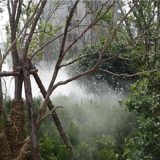 新疆造雾设备安装景观造雾设备诚信厂家图片5