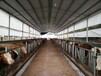 宝鸡养殖圈舍消毒设备操作流程,养殖场消毒