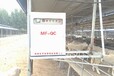 吐鲁番养殖圈舍消毒设备安装,喷雾消毒系统