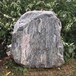 湖北泰山石原石可刻字美石天下泰山石刻字门牌石数量多造型美
