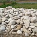 湖南2-30公分天然鹅卵石白色黑色灰色美石天下鹅卵石大量可选