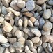 长沙鹅卵石2-30公分白色黑色灰色美石天下鹅卵石基地大量供应