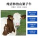 镇江西门塔尔二岁母牛现在的价格