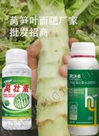 莴笋膨大莴笋叶面肥加工,莴壮宝图片2