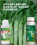 为峰肥业莴壮宝,贡菜为峰肥业莴笋叶面肥用法用量