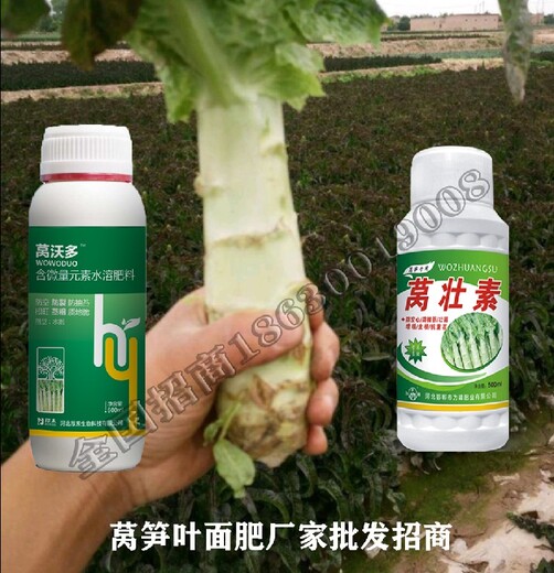 莴笋防裂莴笋叶面肥,莴沃多