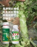 为峰肥业莴壮素,贡菜莴笋叶面肥加工