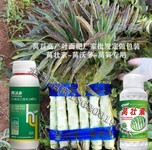 为峰肥业莴沃多,贡菜莴笋叶面肥使用方法