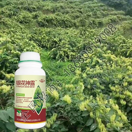 为峰肥业金银花高产水溶肥,忍冬花为峰肥业金银花叶面肥怎么样