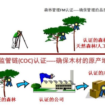 FSC森林管理体系认证惠州FSC认证需要什么条件