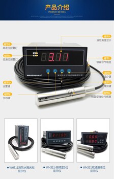 压力式数字水位计130米