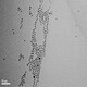 MicroLED低温烧结纳米银浆图