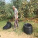 广元PE滴灌管山地果树微喷管橘树喷灌水肥一体化物联网灌溉厂家