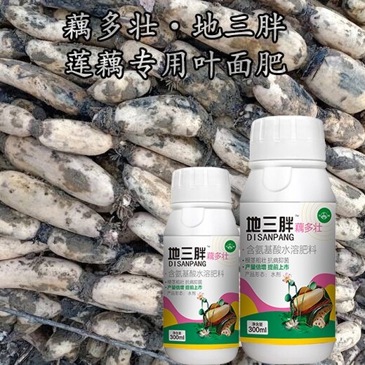 为峰肥业莲菜用肥料,莲根叶面肥为峰肥业莲藕叶面肥用法用量