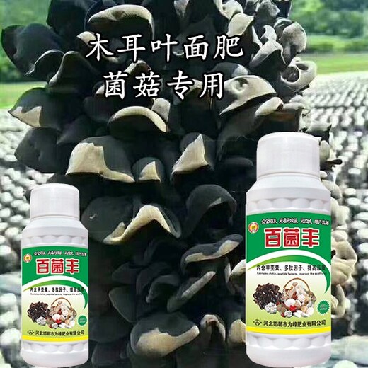 为峰肥业蘑菇叶面肥,平菇食用菌叶面肥用什么好