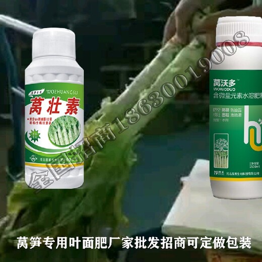 莴笋膨大为峰肥业莴笋叶面肥效果,莴壮素