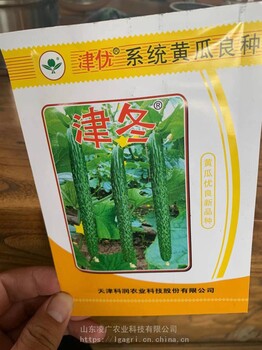科潤津優(yōu)津冬明珠黃瓜種子苗子瓜條順直抗病能力強
