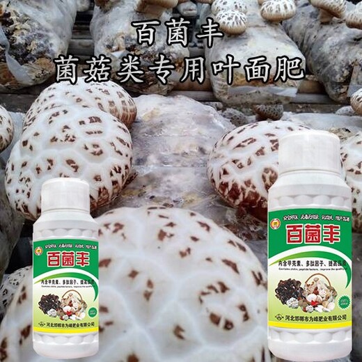 黑木耳为峰肥业食用菌叶面肥定做,蘑菇叶面肥