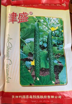 科潤津盛寒豐58黃瓜種子苗子瓜色油亮高產(chǎn)
