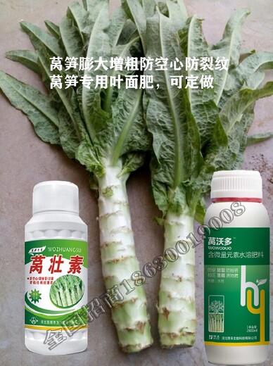 莴菜莴笋叶面肥用什么,莴壮素