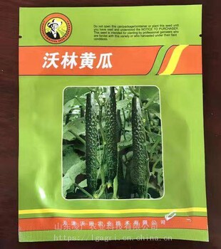 沃林黃瓜種子苗子瓜條順直把短產(chǎn)量高
