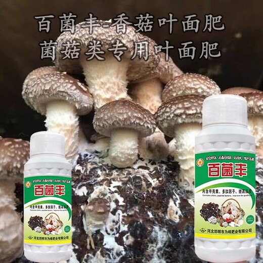 金针菇为峰肥业食用菌叶面肥作用,蘑菇叶面肥