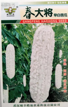 春大將早白苦瓜種子苗子早熟肉厚結(jié)瓜率高