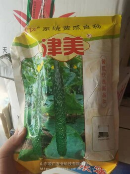 科潤津優(yōu)津美82黃瓜種子苗子耐低溫抗病能力強(qiáng)