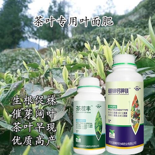 催芽剂为峰肥业茶叶叶面肥效果,茶树叶面肥