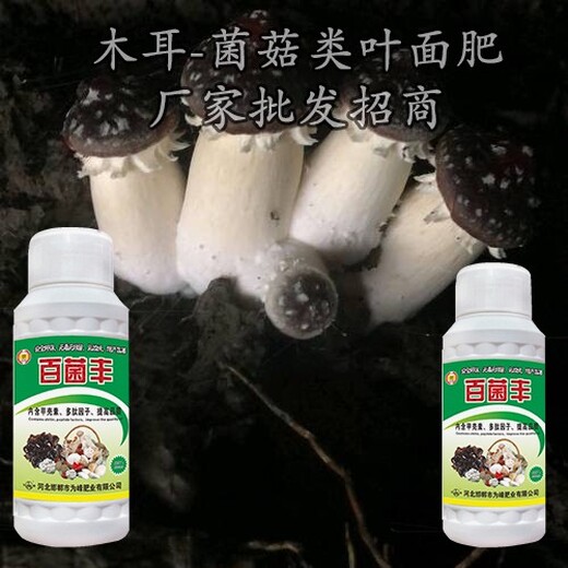 为峰肥业平菇叶面肥,银耳食用菌叶面肥生产厂家