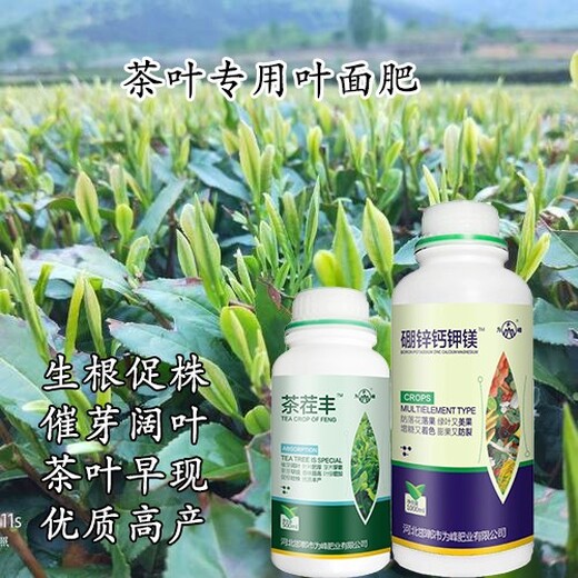 催芽素为峰肥业茶叶叶面肥茶茬丰,茶叶水溶肥