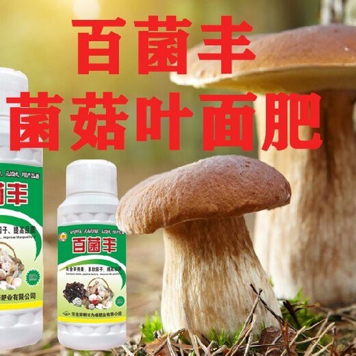 银耳食用菌叶面肥效果,平菇叶面肥