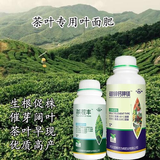 催芽素为峰肥业茶叶叶面肥肥料,茶树水溶肥
