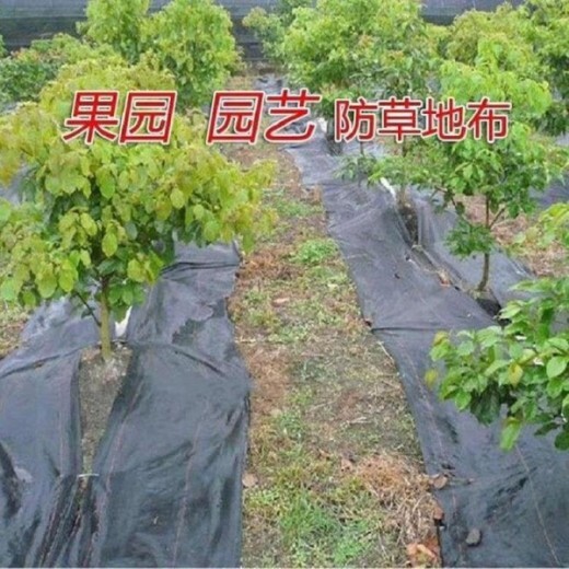 pE果园防草布农用除草布能使用多些年