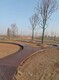 乾宇木塑地板,亳州塑木地板圆孔14025产品图