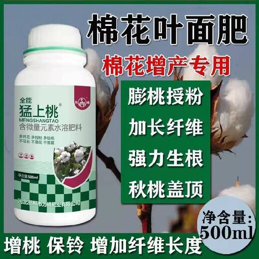 整枝控旺防三落免打頂結(jié)桃滿枝?為峰肥業(yè)猛上桃