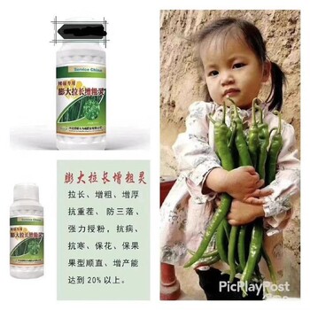 為峰三落停正品批發(fā)促花授粉，預(yù)防散落拉直拉長(zhǎng)