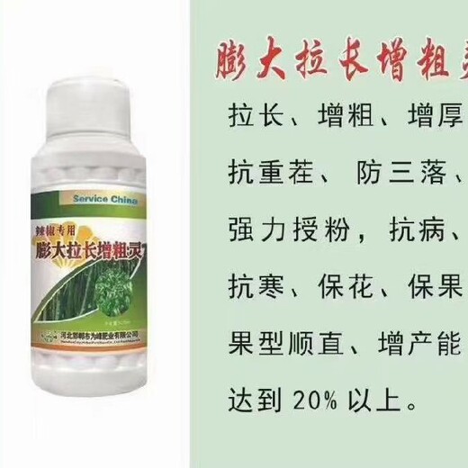 辣椒增粗靈促使增粗，膨大拉長減少畸形果