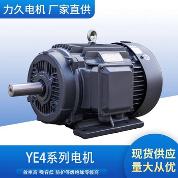 力久特种电机IEC60034-30中YE4三相异步电机