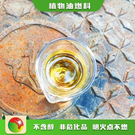 鸿泰莱无醇燃料灶具,石家庄新乐防火鸿泰莱植物油燃料灶具颜色