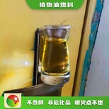 鸿泰莱植物油燃料批发,石家庄新乐新款鸿泰莱植物油燃料灶具结构图片4