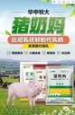 湖南畜用豬奶媽奶粉使用方法