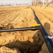 供应农业灌溉给水管PE管热熔直管PE盘管农田地埋灌溉管