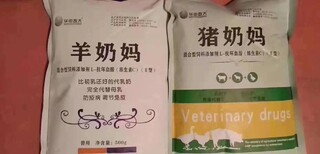 湖北仔猪断奶猪奶妈怎么使用,猪奶妈羊奶妈图片5