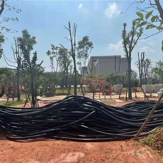 坦洲二手电缆回收价格,回收废旧电缆铜线