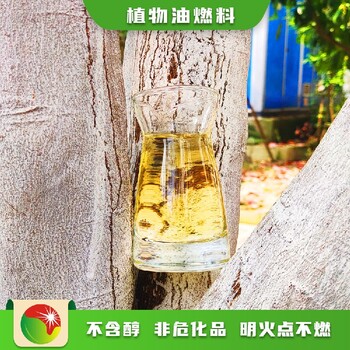 河南郑州热门行业80号无醇燃料报价及图片,植物油燃料厨房用油