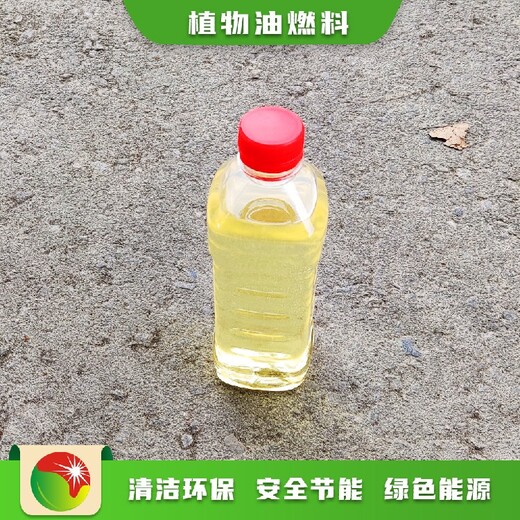广东惠州热门项目生活燃料节能环保植物油燃料操作流程,植物油燃料