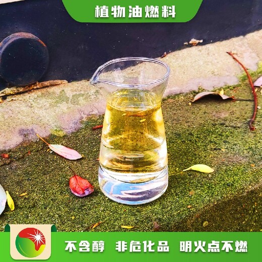 广东汕头厂家直接销售80号无醇燃料材料,植物油燃料厨房用油