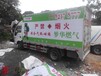 惠州冷藏车车身广告需要什么手续,4.2米箱车车身广告